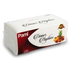 DINNER NAPKIN 2PLY 100 CT 30/cs